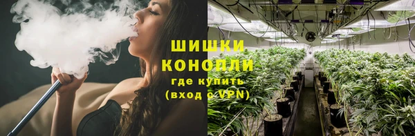 сатива Алексин