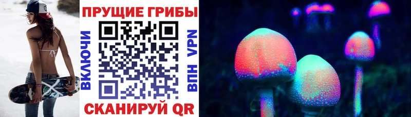 Псилоцибиновые грибы прущие грибы  купить закладку  Чёрмоз 